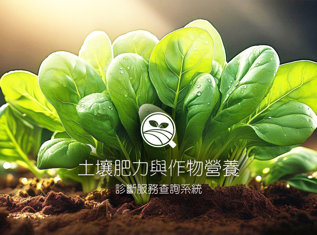 農改場-土壤肥力與作物營養
